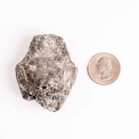 Alexandrite in Mica Schist - Earth Love Gallery Collection