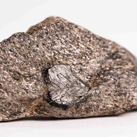 Alexandrite in Mica Schist - Earth Love Gallery Collection