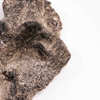 Alexandrite in Mica Schist - Earth Love Gallery Collection