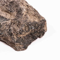 Alexandrite in Mica Schist - Earth Love Gallery Collection