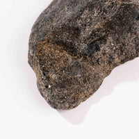 Alexandrite in Mica Schist - Earth Love Gallery Collection