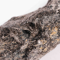 Alexandrite in Mica Schist - Earth Love Gallery Collection