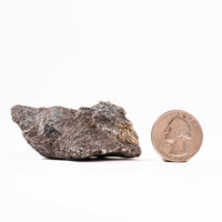 Alexandrite in Mica Schist - Earth Love Gallery Collection