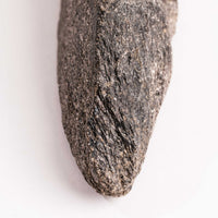 Alexandrite in Mica Schist - Earth Love Gallery Collection