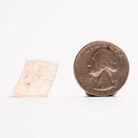 Topaz - Imperial, Champagne