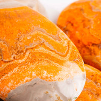 Jasper - Bumble Bee- Palms