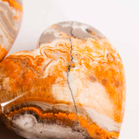 Jasper - Bumble Bee, Dark & Light Hearts