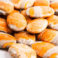 Jasper - Bumble Bee- Palms