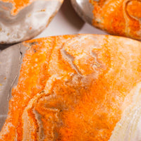 Jasper - Bumble Bee- Palms