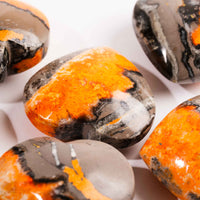 Jasper - Bumble Bee, Dark & Light Hearts