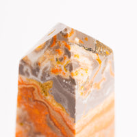 Jasper, Bumble Bee - Tower