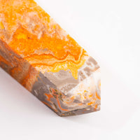 Jasper, Bumble Bee - Tower