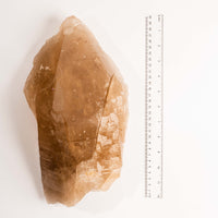 Citrine Elestial w/ Stand - Statement Piece