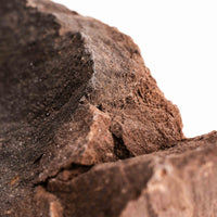 German Fairy Wood - Statement Piece