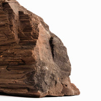 German Fairy Wood - Statement Piece