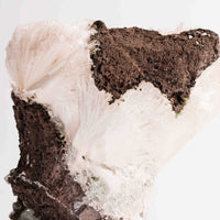 Apophyllite, Green - Statement Piece