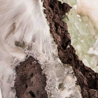 Apophyllite, Green - Statement Piece