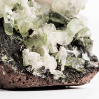 Apophyllite, Green - Statement Piece