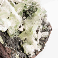 Apophyllite, Green - Statement Piece