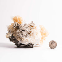 Celestite w/ Calcite - Statement Piece