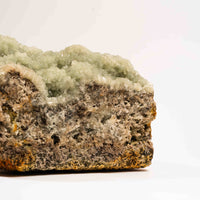 Prehnite with Epidote- Statement Piece