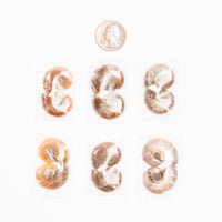 Ammonite - Intuitive Picks