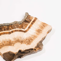 Barite w/ Pyrite - Slab