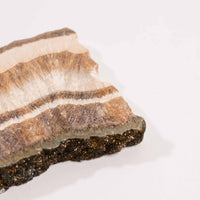 Barite w/ Pyrite - Slab