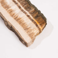 Barite w/ Pyrite - Slab