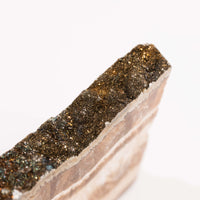 Barite w/ Pyrite - Slab
