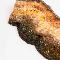 Barite w/ Pyrite - Slab