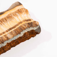 Barite w/ Pyrite - Slab