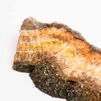 Barite w/ Pyrite - Slab