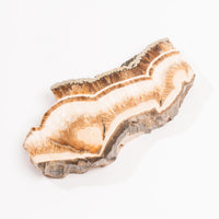 Barite w/ Pyrite - Slab