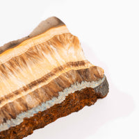 Barite w/ Pyrite - Slab