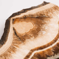 Barite w/ Pyrite - Slab