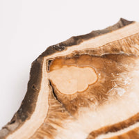 Barite w/ Pyrite - Slab