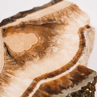 Barite w/ Pyrite - Slab