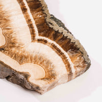 Barite w/ Pyrite - Slab