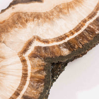 Barite w/ Pyrite - Slab