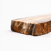 Barite w/ Pyrite - Slab