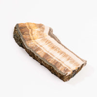 Barite w/ Pyrite - Slab