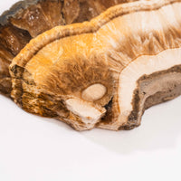 Barite w/ Pyrite - Slab