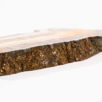 Barite w/ Pyrite - Slab