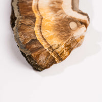 Barite w/ Pyrite - Slab