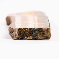 Barite w/ Pyrite - Slab