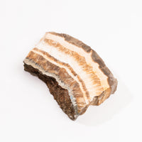 Barite w/ Pyrite - Slab