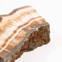 Barite w/ Pyrite - Slab