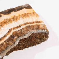 Barite w/ Pyrite - Slab