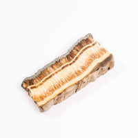 Barite w/ Pyrite - Slab